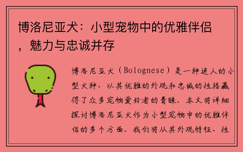 博洛尼亚犬：小型宠物中的优雅伴侣，魅力与忠诚并存