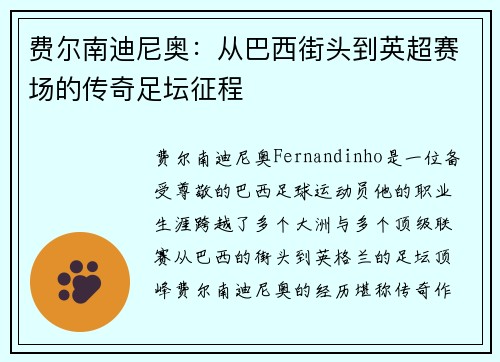 费尔南迪尼奥：从巴西街头到英超赛场的传奇足坛征程